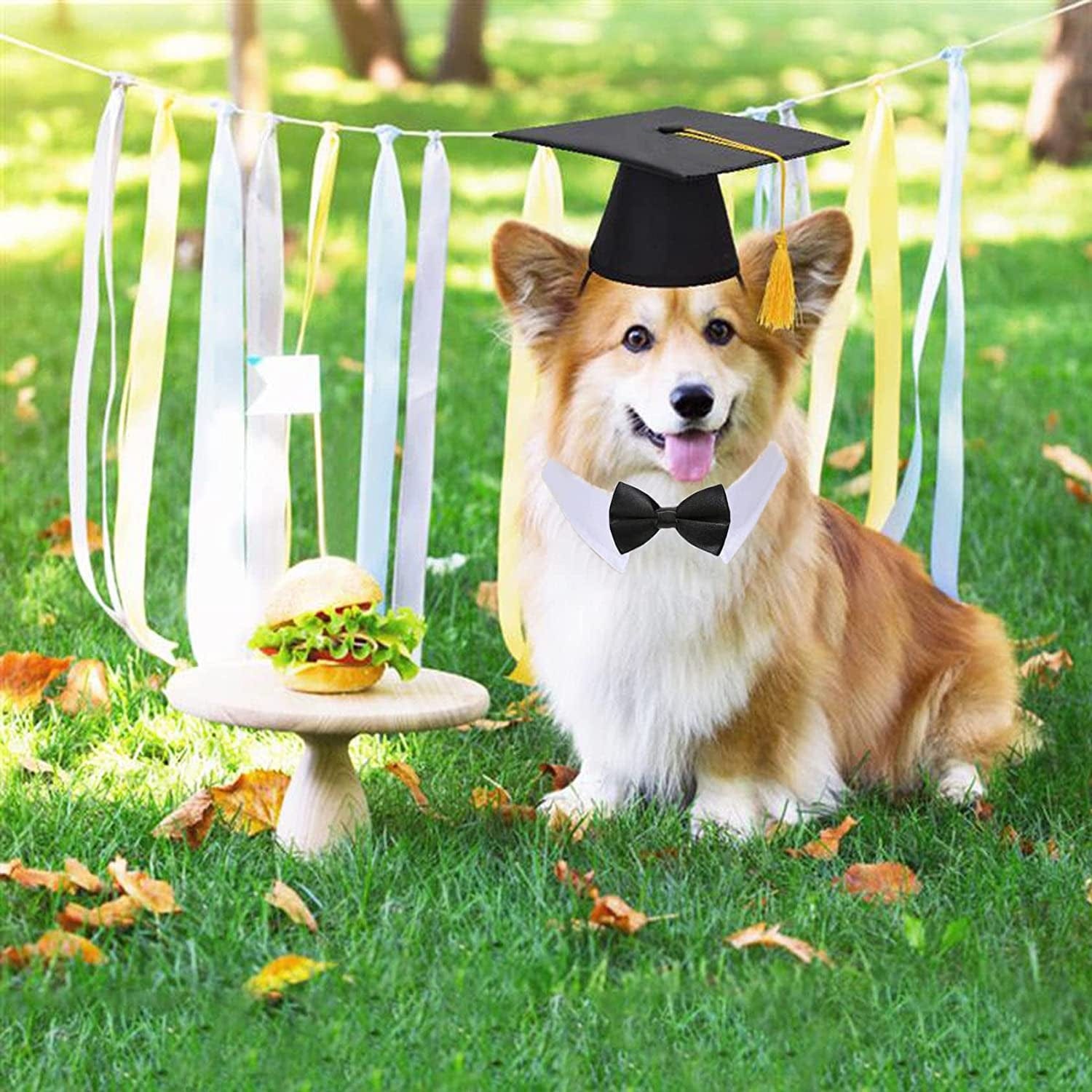 graduation cap for dogs dog graduation cap and gown Dog Hat Dog Supplies Pet  | eBay
